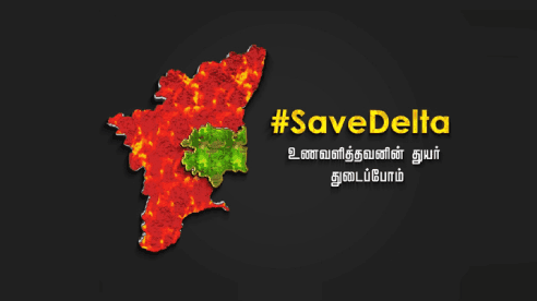 Save Delta NFO - Coordinator of Volunteers